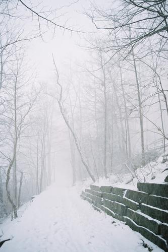 Brume de Beebe lake