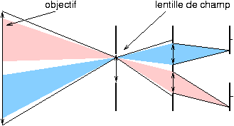 La lentille de champ permet d'viter l'obscurcissement