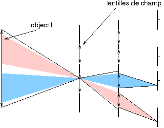 AF  deux capteurs